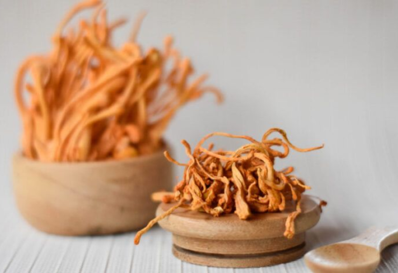 Đông trùng Thạ thảo sấy thăng hoa sử dụng như thế nào?